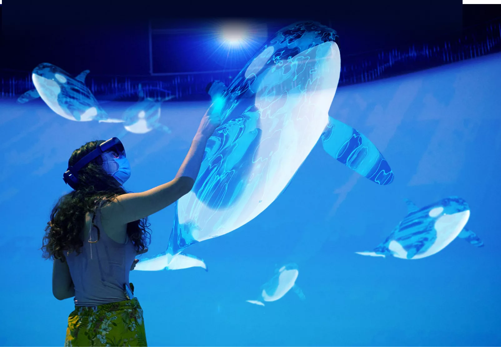 HoloLens orca exhibit