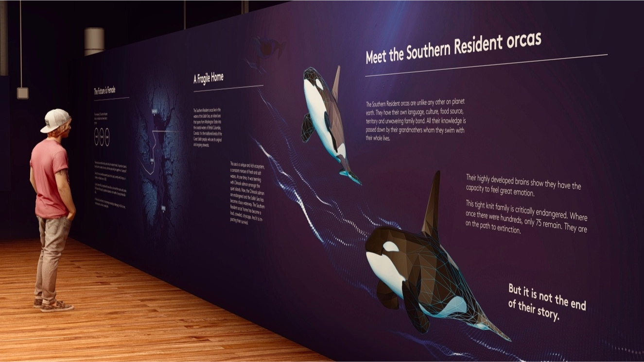 orca exhibit