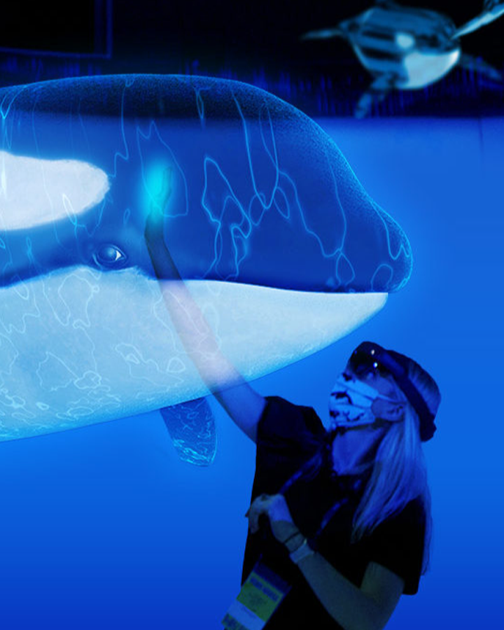 HoloLens orca exhibit