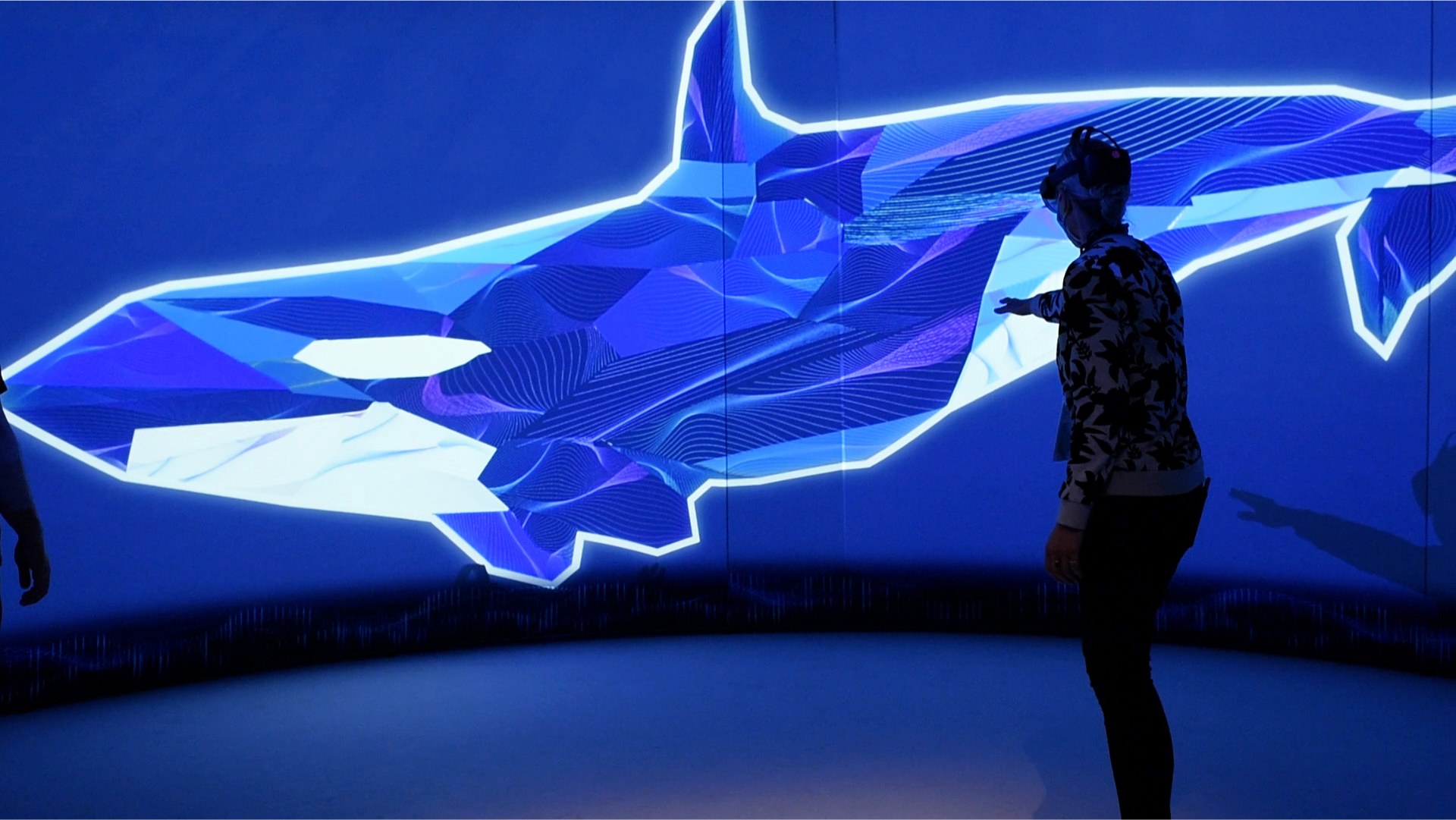 HoloLens orca exhibit