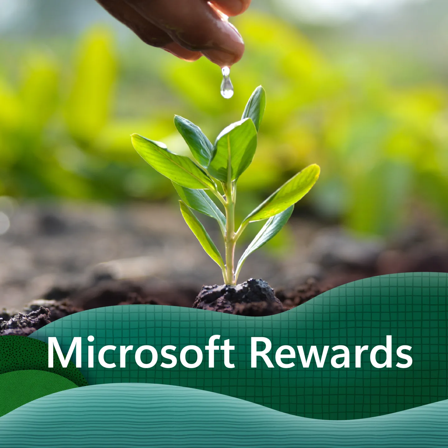 A hand waters a sprouting plant in a garden. The text “Microsoft Rewards” is in the bottom of the frame.