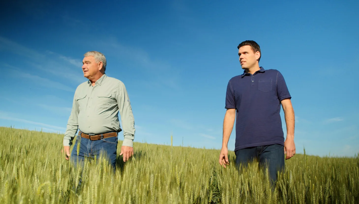 Play video: Two men stand in a sunny wheat field with a blue sky behind them.