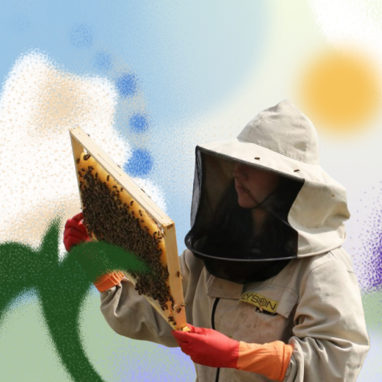 A beekeeper inspecting a honeycomb frame outdoors.