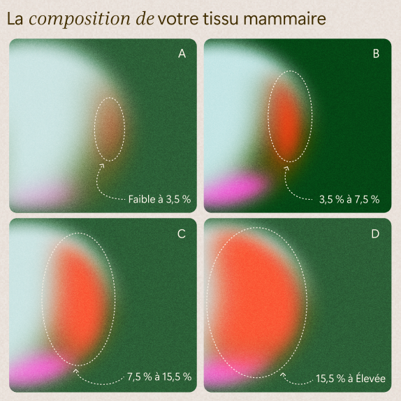 Quatre panneaux (A, B, C, D) montrent des gradients de couleur représentant la densité du tissu mammaire, de faible (A : Faible à 3,5 %) à élevée (D : 15,5 % à Élevée), la densité augmentant de gauche à droite, de haut en bas.