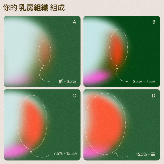 標示為 A、B、C 和 D 的四個抽象面板顯示橢圓內紅色和白色區域的增加量，說明不同範圍的乳房組織組成百分比，並附有中文和英文文字。.