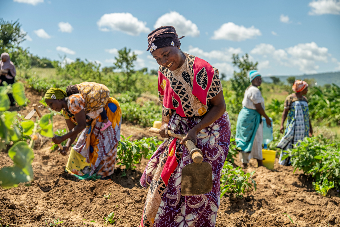 Group of women farming on a sunny day, wearing colorful clothing and headscarves, using hoes to tend to crops in a field.