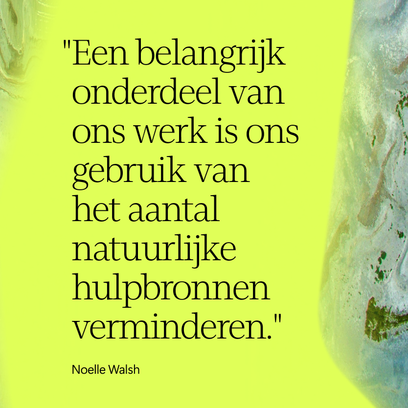 Nederlands citaat in zwarte tekst op een felgele achtergrond: Een belangrijk onderdeel van ons werk is ons gebruik van het aantal natuurlijke hulpbronnen verminderen. Noelle Walsh. De rechterkant toont een gedeeltelijk abstract, marmerachtig patroon.