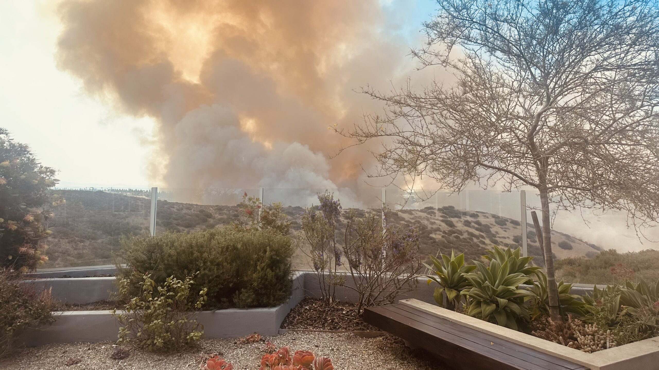 View from a residential patio with raised garden planters and a bare tree in the foreground, with a large wildfire burning on dry hillsides nearby, sending massive